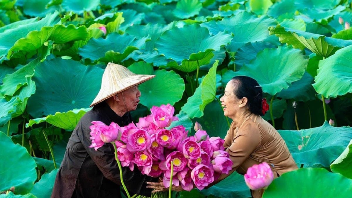 50+ Hình ảnh đẹp Đồng Tháp về cảnh thiên nhiên, con người