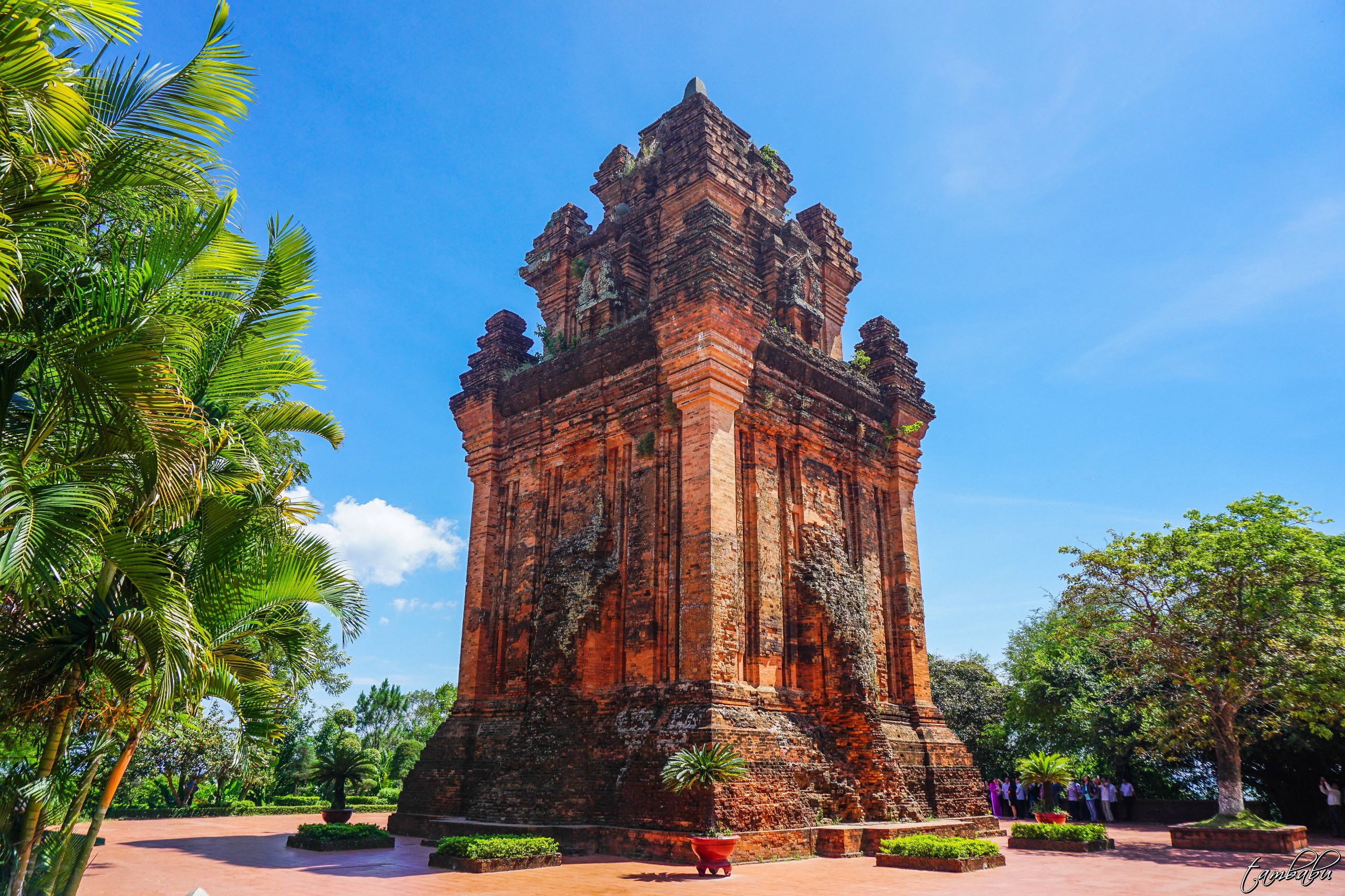 Tháp Nhạn - Di Tích Mang Đậm Dấu Ấn Văn Hóa Chăm