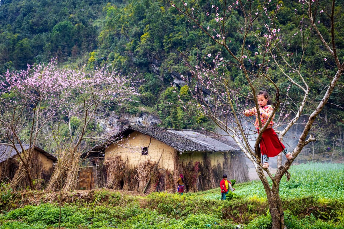 Kinh nghiệm du lịch Đồng Văn – Vùng đất cao nguyên hùng vỹ tại Hà Giang