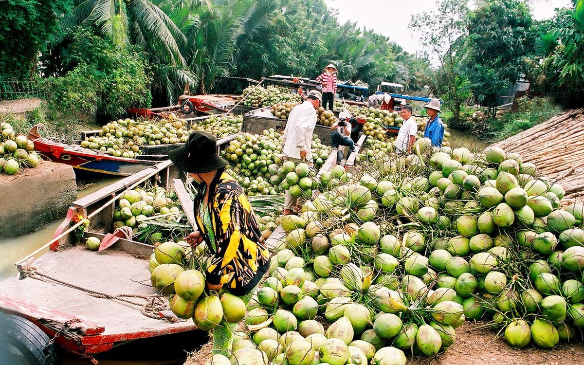 Khu chợ quanh năm bán một đặc sản Bến Tre, lúc nào cũng tấp nập - Saostar.vn