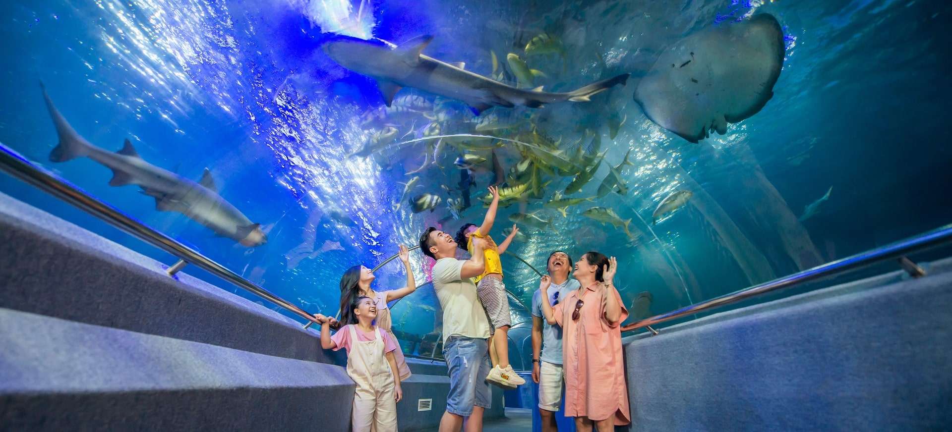 Viện Hải Dương học Nha Trang - thế giới đại dương bao la
