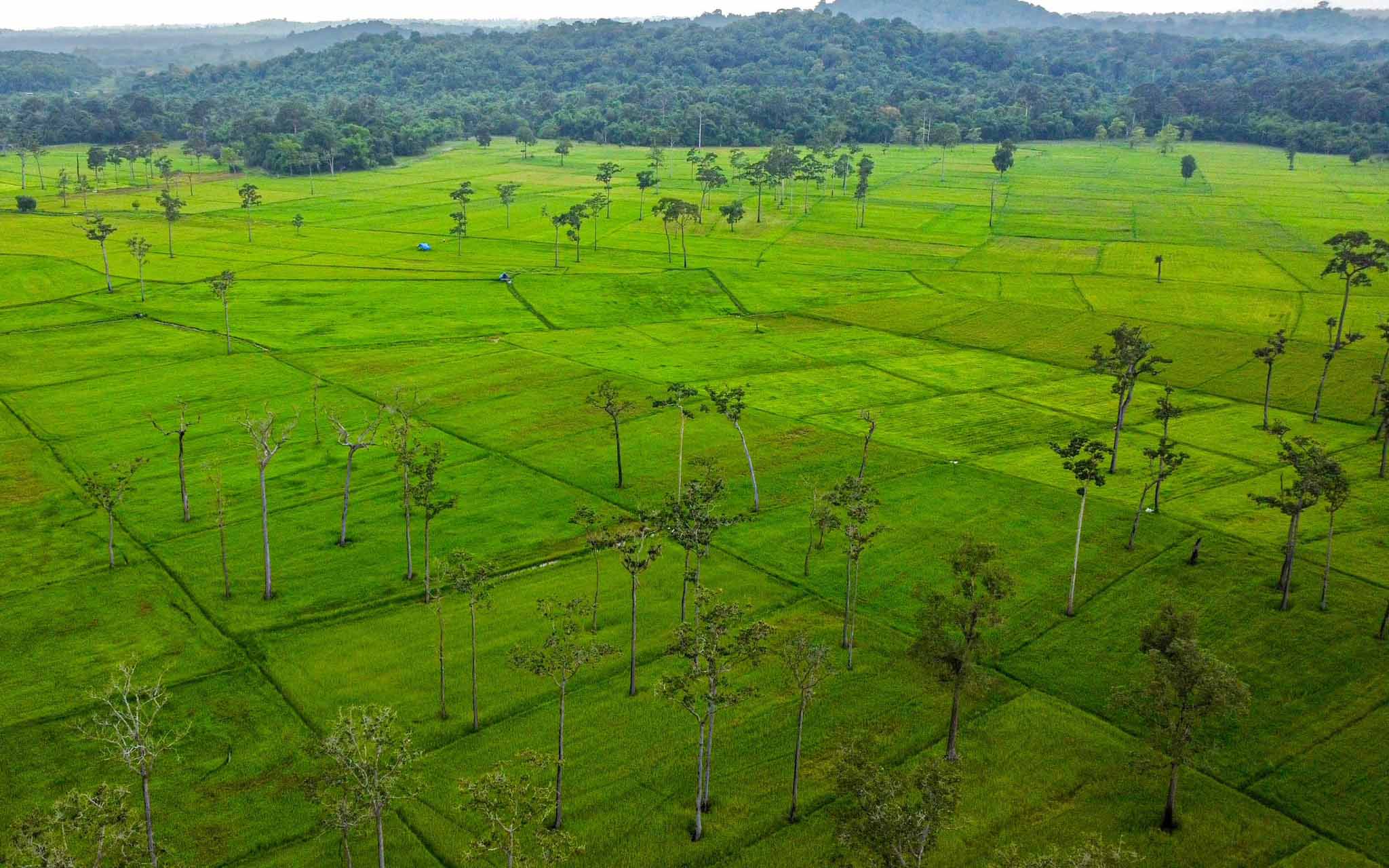 Cuối tuần đến Tà Lài cắm trại, ngắm hoàng hôn