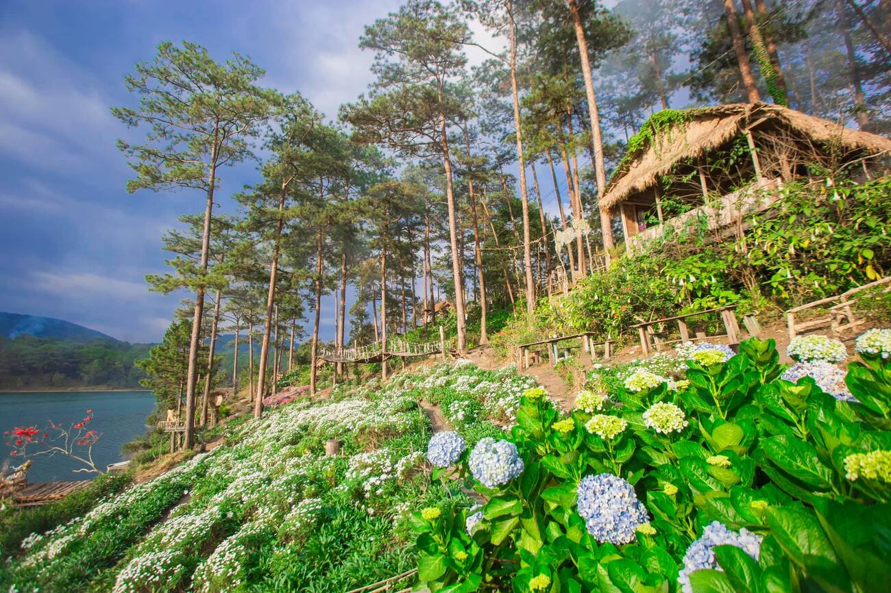 Phim trường Happy Hill Đà Lạt - Khu vườn cho những kẻ mộng mơ