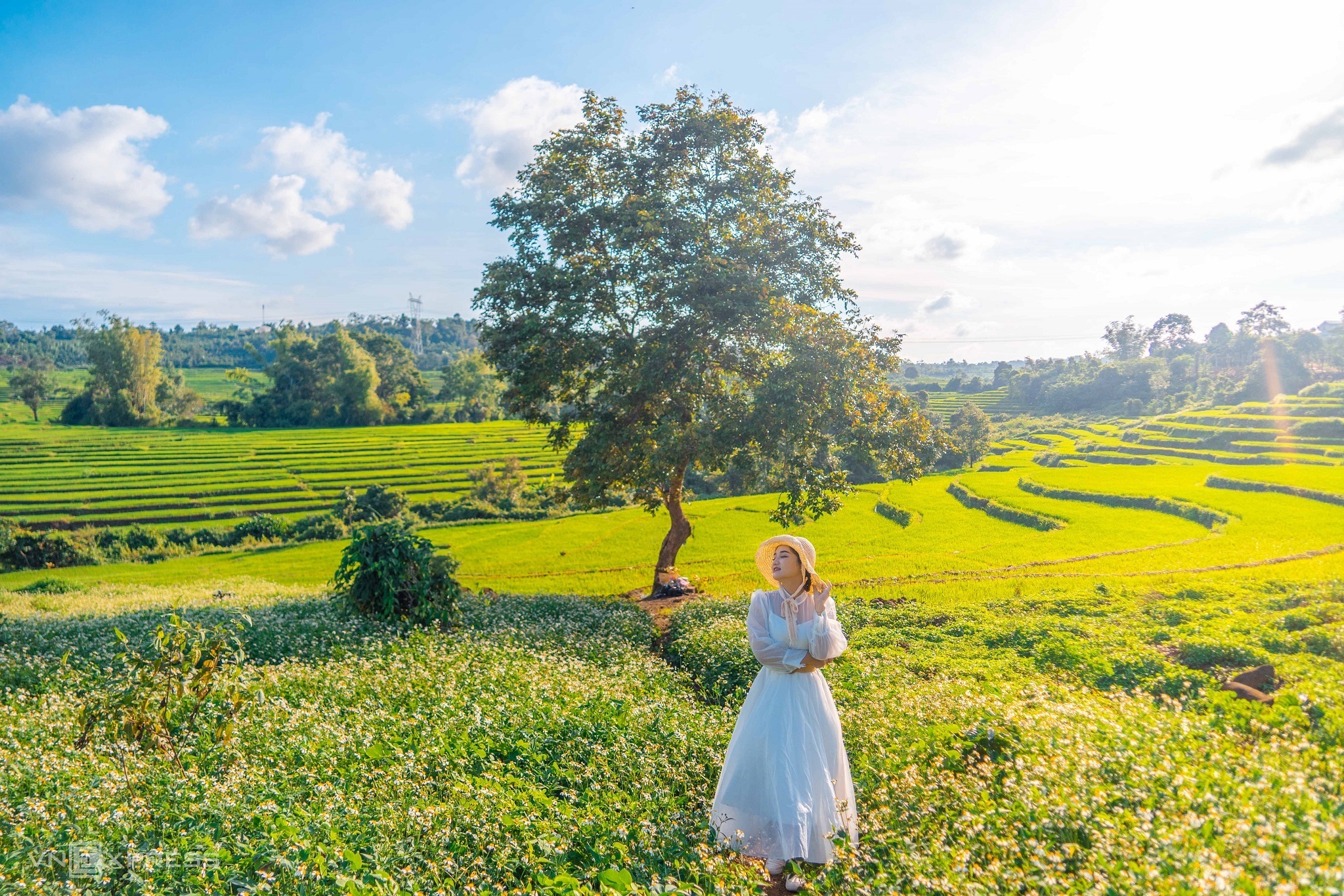 TOUR HÀ GIANG - GIA LAI - PLEIKU - MĂNG ĐEN ĐẶT NGAY ( 0944.107.174 ) -  Tour Ghép Quy Nhơn - Phú Yên