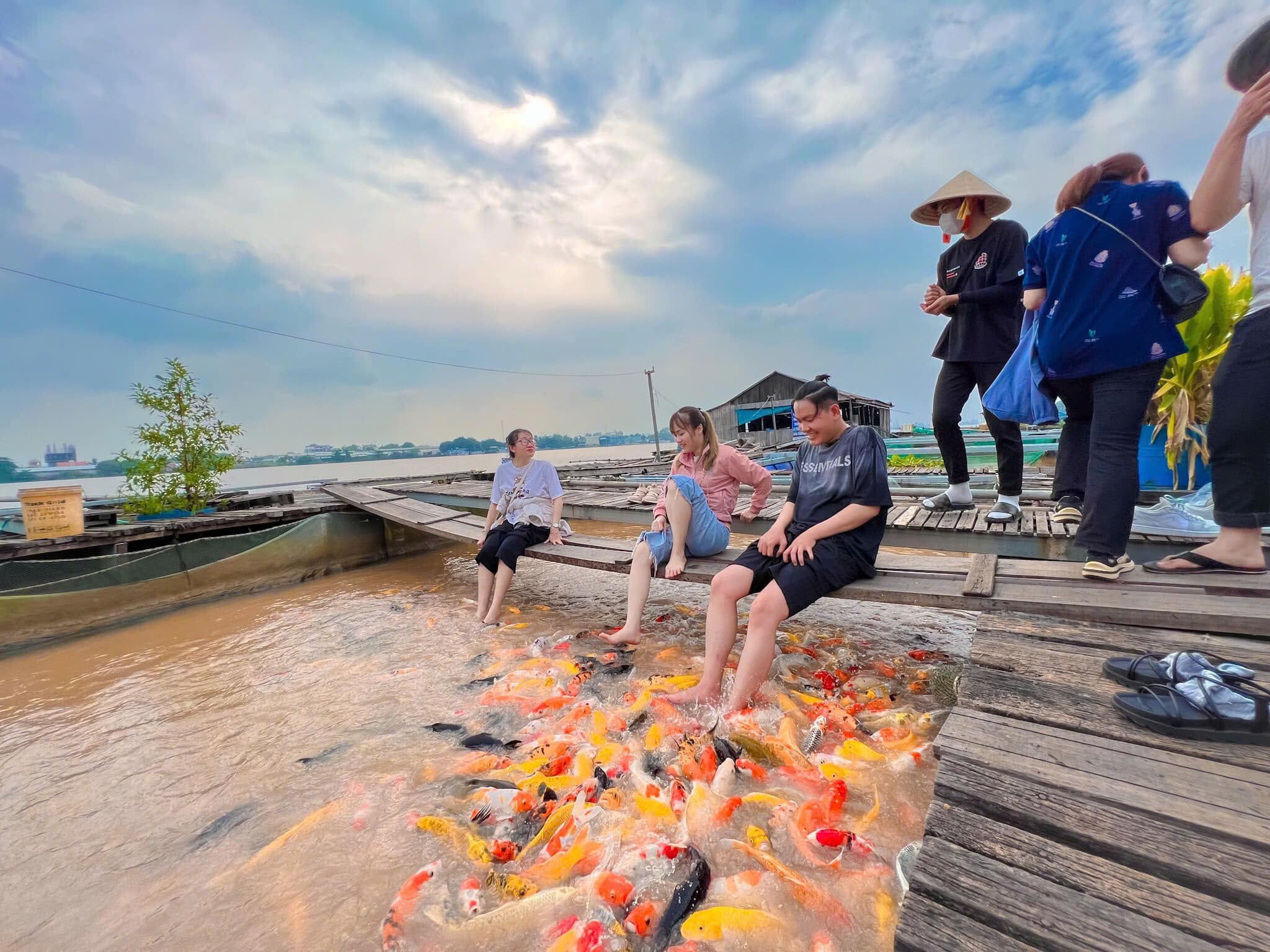 Tour CỒN SƠN CẦN THƠ Giá Rẻ Kinh Nghiệm Du Lịch 2025 - Tour.Pro.Vn