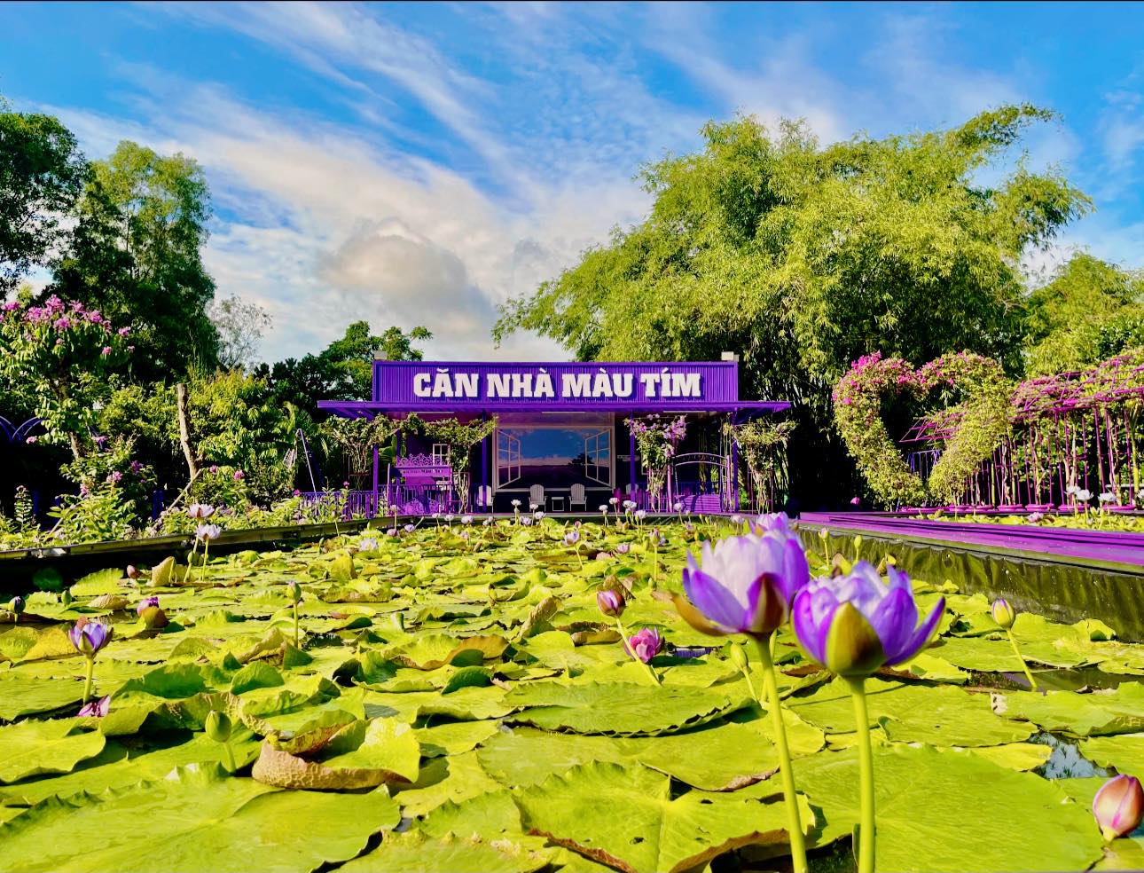 Căn nhà màu tím Cần Thơ - địa điểm check in độc lạ và đầy ấn tượng