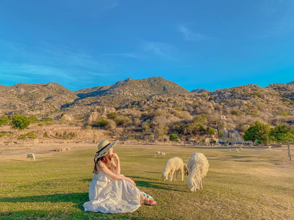 Tanyoli Ninh Thuận: Thảo nguyên Mông Cổ - Phong Cách Việt Travel