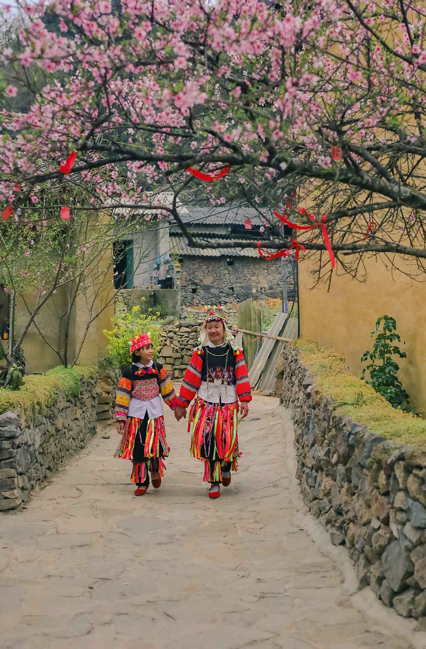 Thăm Lô Lô Chải mùa hoa đào nở rộ