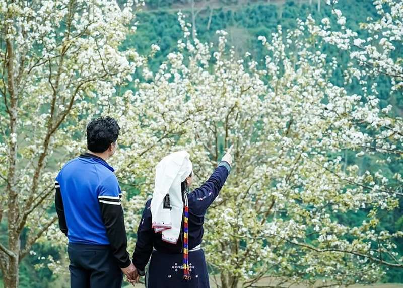 Lễ hội hoa lê trắng: Vẻ đẹp tinh khôi giữa núi rừng Tây Bắc