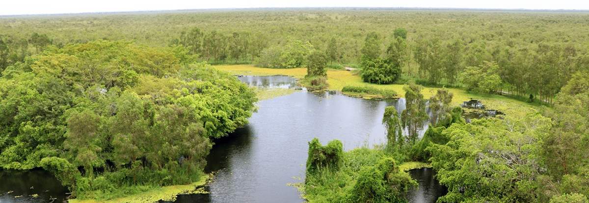 Khám phá Cù Lao Dung với cá tôm trù phú, cây trái ngọt lành