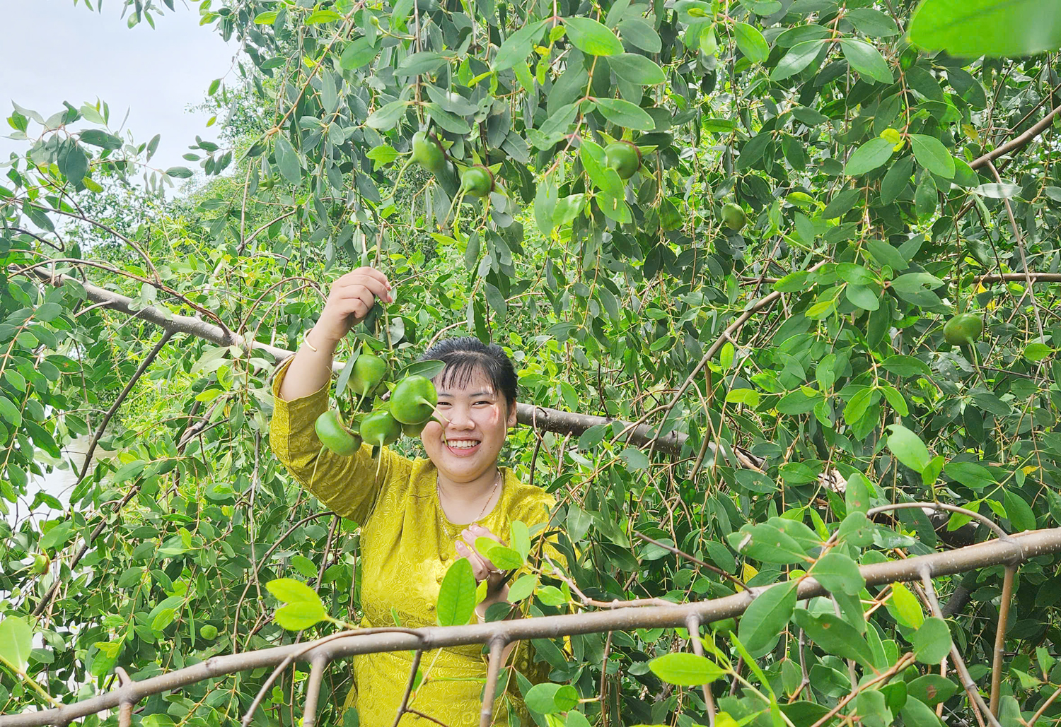 Du khách thỏa thích check-in rừng thủy liễu ở đảo ngọc xanh Cù Lao Dung